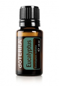 Eucalyptus