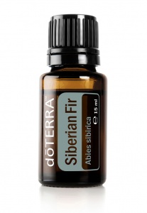 Siberian Fir